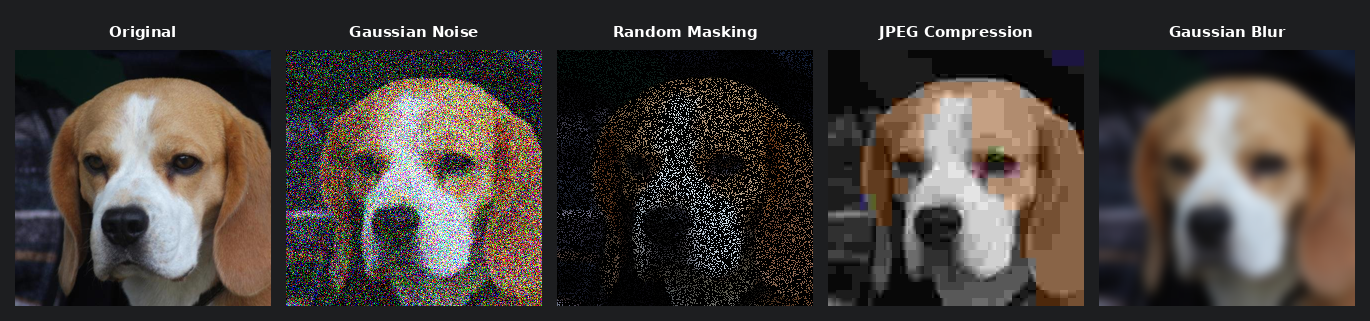 Corrupted Samples